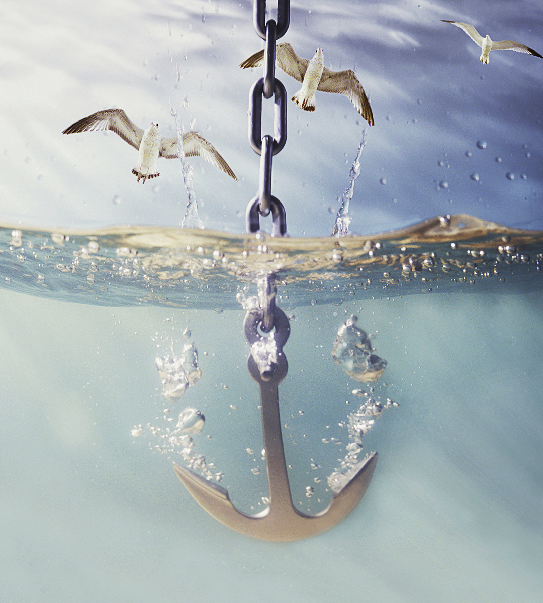 Anchor with Seagulls