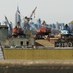 View from Brooklyn Queens Expressway with Bird