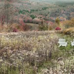 Meadow with Chairs