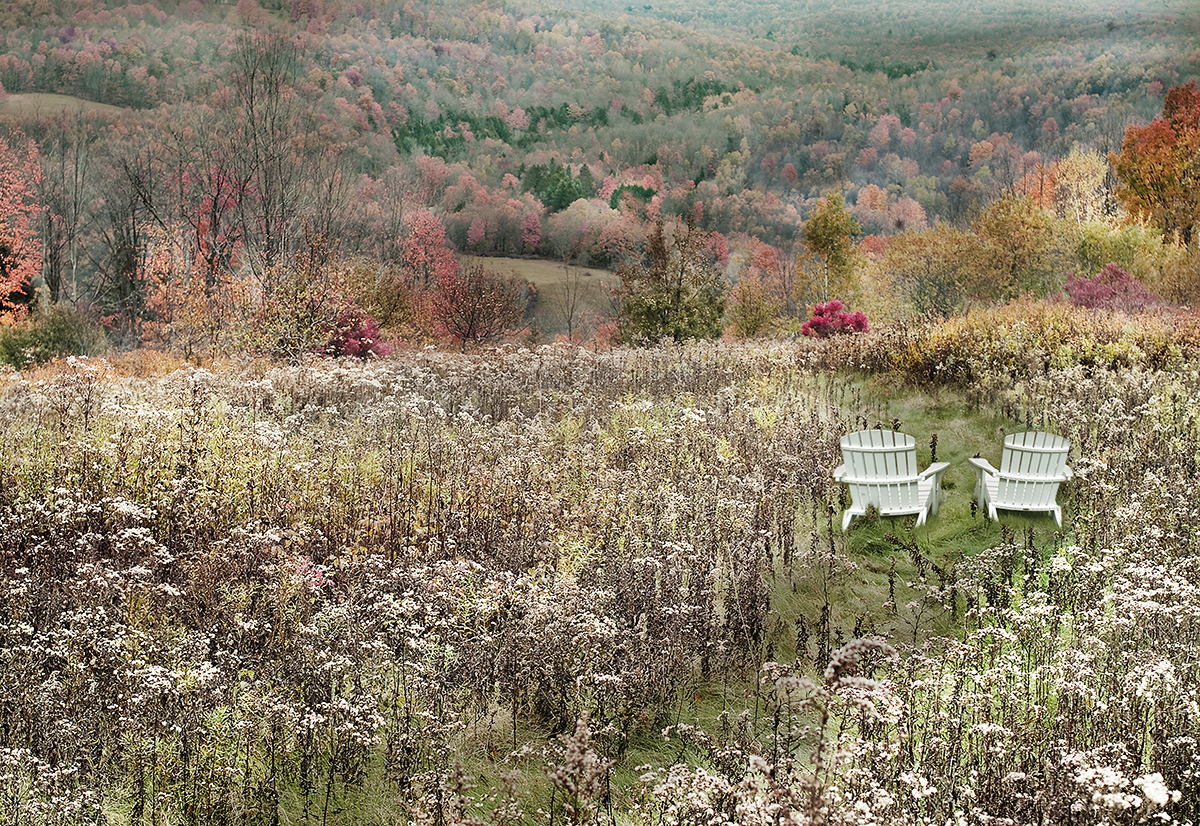 Meadow with Chairs