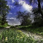 Off-Road to Somewhere