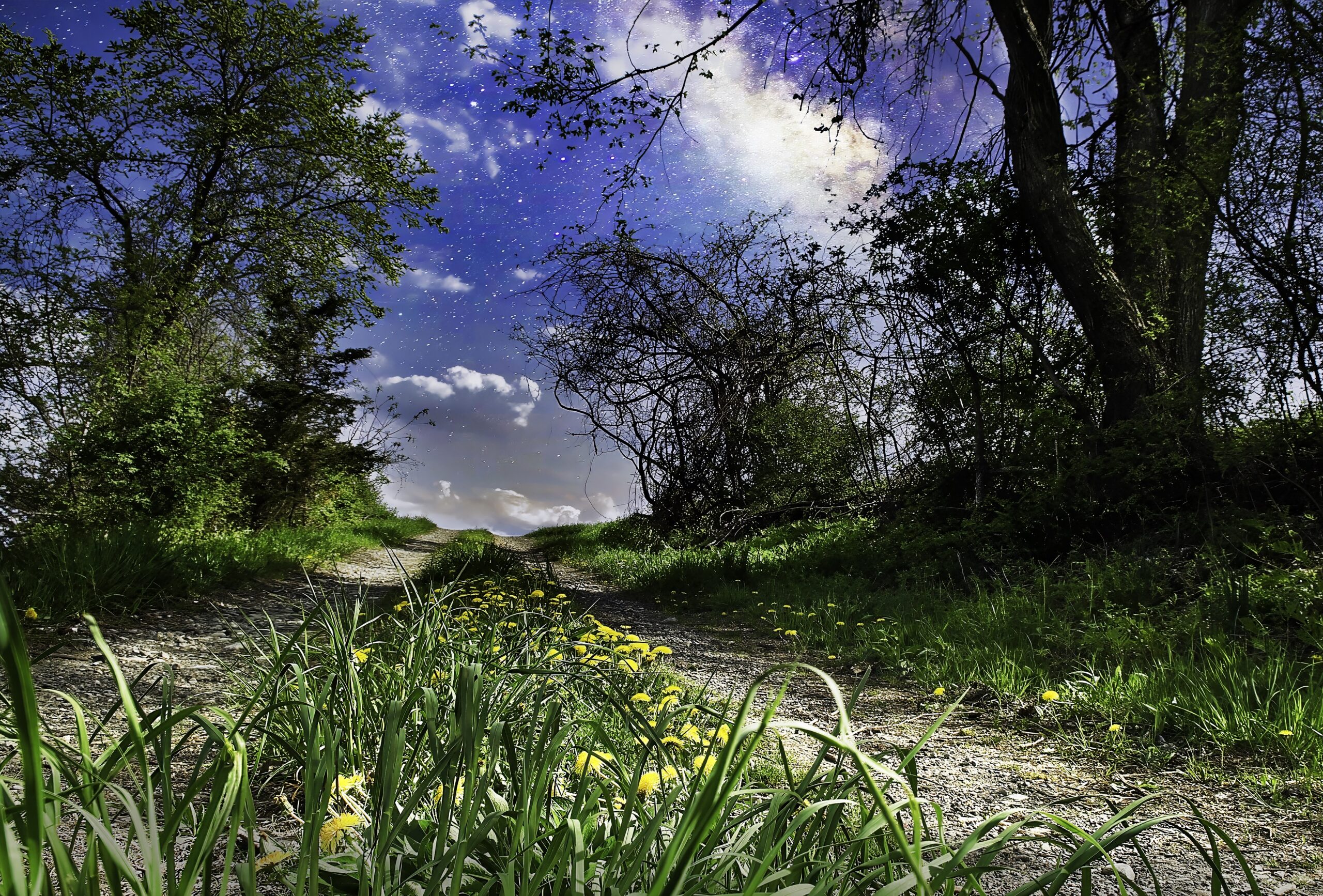 Off-Road to Somewhere