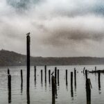 Hudson River Pier with Bird