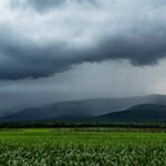 Clouds with Geese Over Cornfield